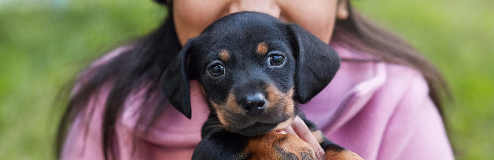 Young girl holding a puppy